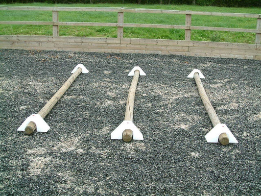 Hold Those Poles! - The Ground Pole Holder