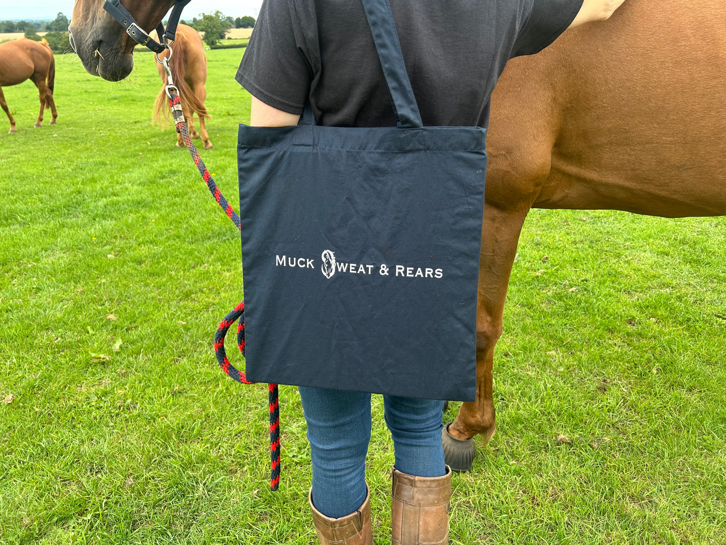 Team MSR 'Banner' Tote